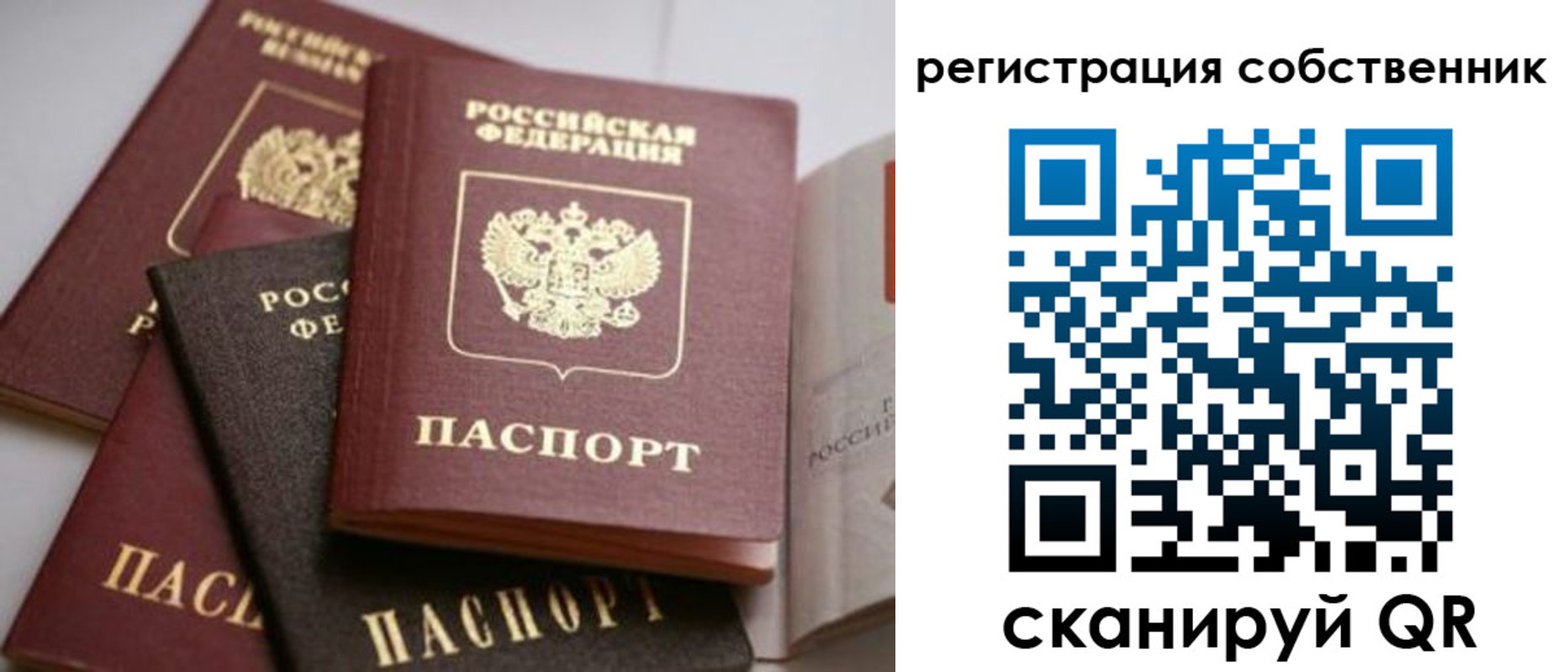 временная регистрация поиск в Жукове